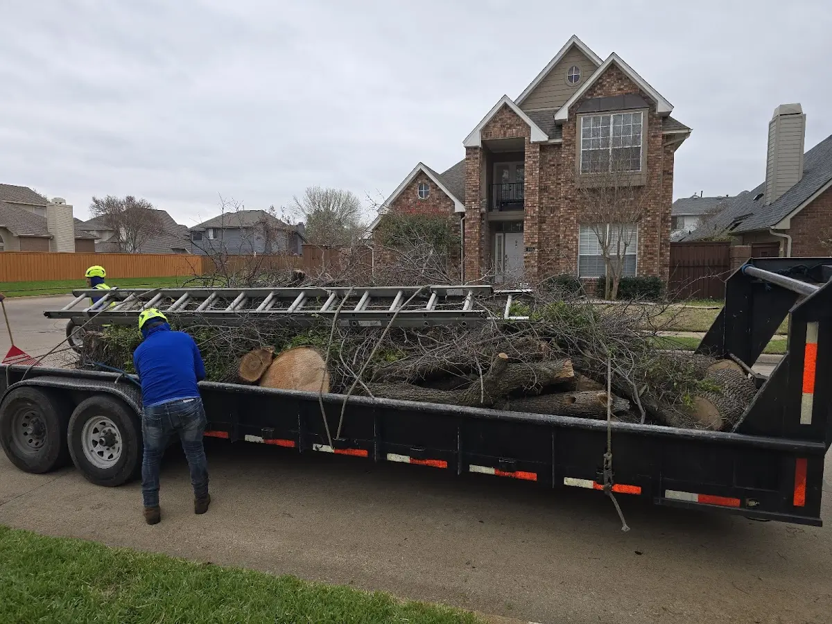 Expert Lot Clearing with proper safety equipment in Upton